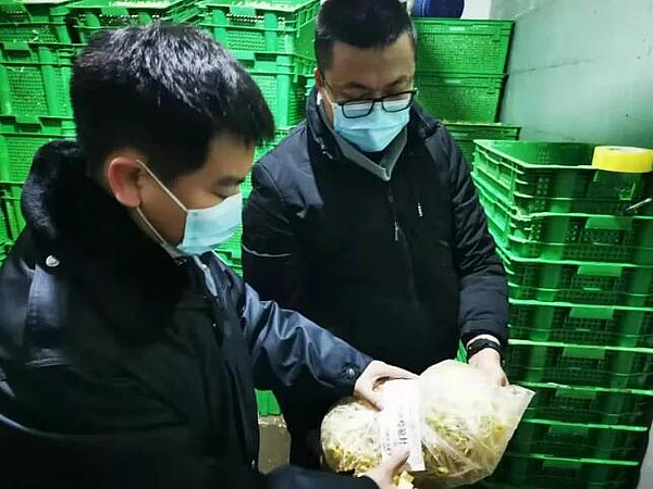 市市場監(jiān)管綜合執(zhí)法支隊開展豆芽專項監(jiān)督抽檢工作，筑牢食用農(nóng)產(chǎn)品批發(fā)安全防線